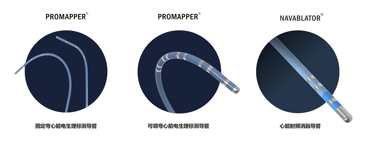 可按栏目接着查阅相关条目